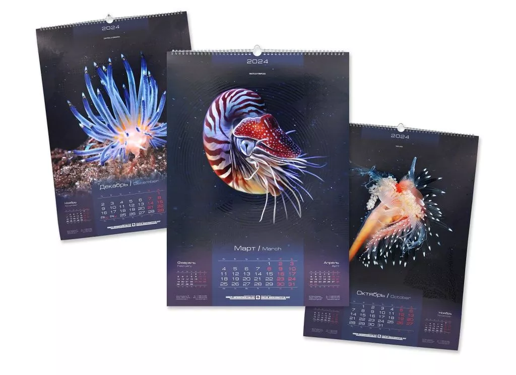 Календари портфолио.jpg Календари портфолио.jpg