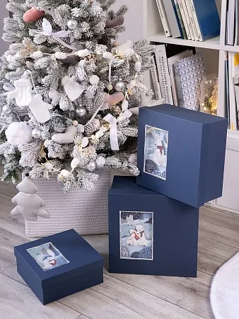 Коробка The Blue Bear, L