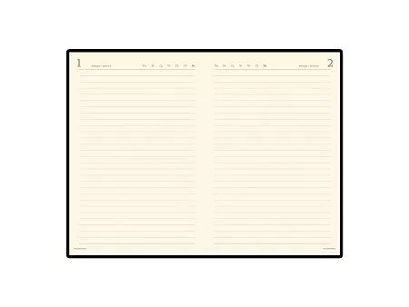 Ежедневник полудатированный портфолио А5 Profy