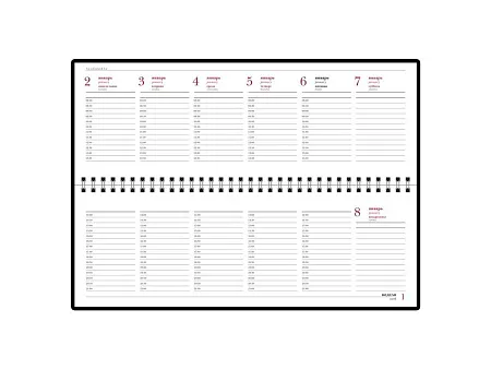 Планинг датированный Velvet на 2025 год