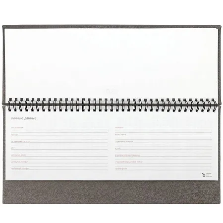 Планинг Sagrin, датированный, серый