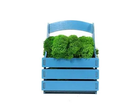 Композиция Корзинка со мхом