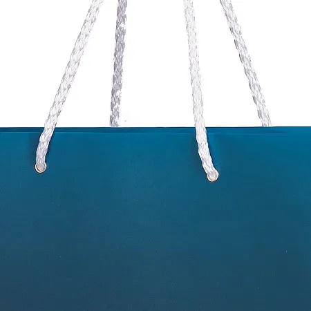 Пакет подарочный AESTHETIC,  24х9х28 см