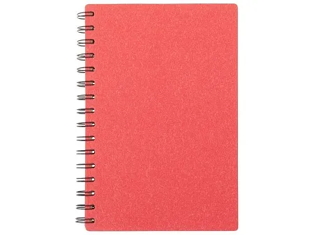 Блокнот А5 на спирали Mania