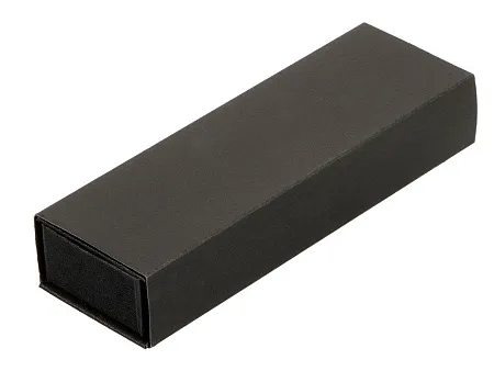 Футляр для 2 ручек In case