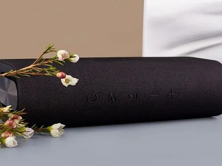 Портативная колонка Mysound Orion