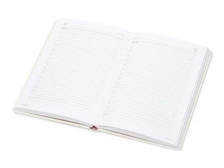 Ежедневник недатированный А5 Velvet