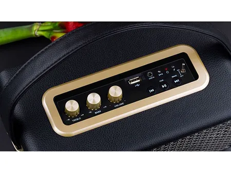 Портативная акустика Mysound Drive