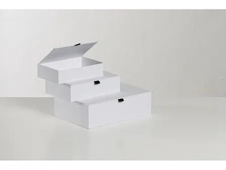 Коробка подарочная White S