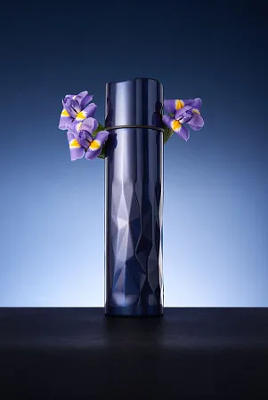 Термос Gems Black Morion, черный морион