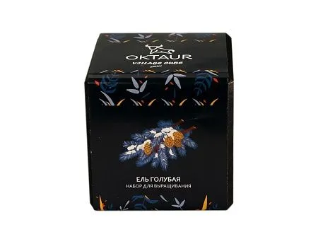 Набор для выращивания Small village cube Эхиноцереус