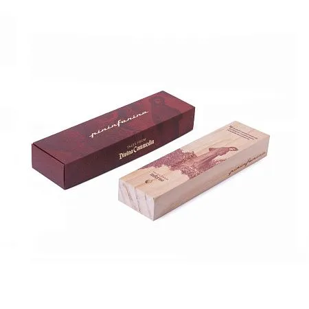 Шариковая ручка Pininfarina Cambiano DANTE INFERNO