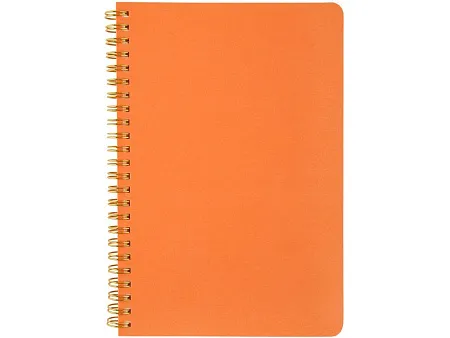 Бизнес тетрадь А5 Pragmatic