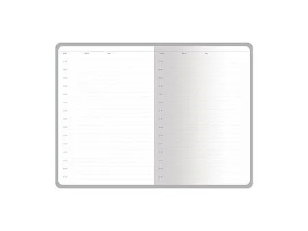 Ежедневник недатированный А5 Carrara