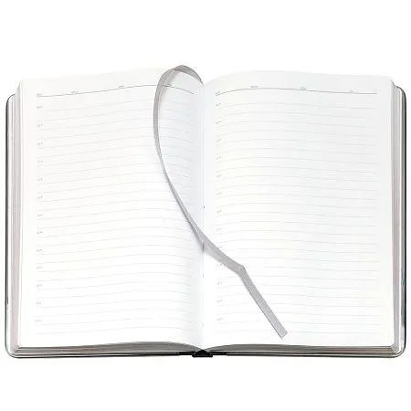 Ежедневник Frame Metal, недатированный, черный