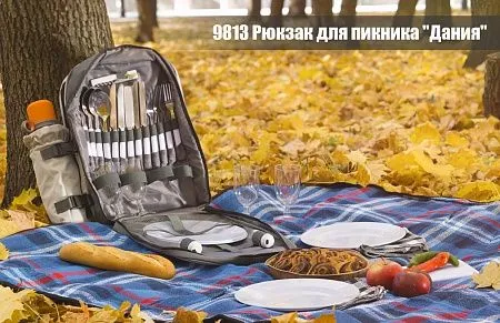 Рюкзак для пикника "Дания" на 4 персоны