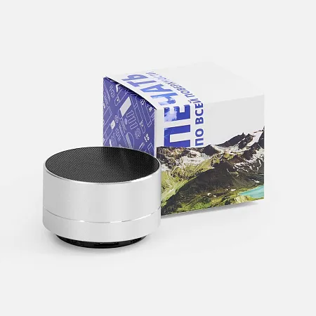 Коробка с полноцветной печатью для колонки Easy