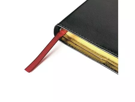 Ежедневник полудатированный портфолио А5 Profy