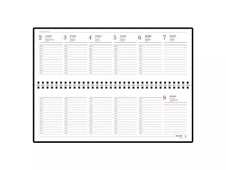 Планинг датированный Бумвинил на 2025 год