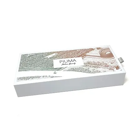 Вечная ручка Pininfarina Piuma VERONA