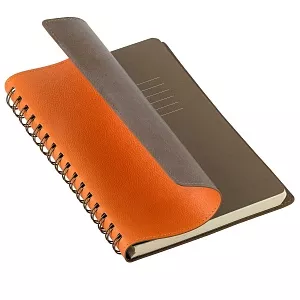 Ежедневник Portobello Trend, Vista, недатированный, оранжевый/коричневый