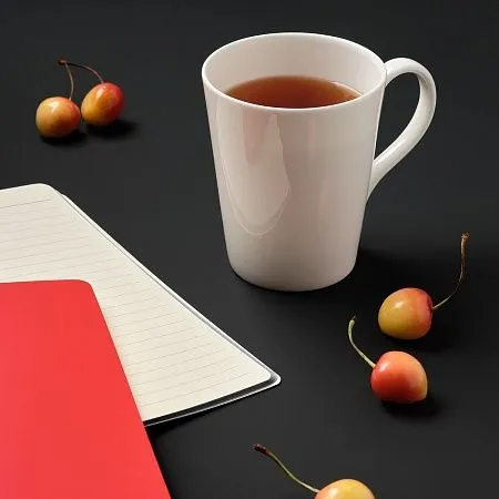 Кружка фарфоровая Vesta, 400 ml