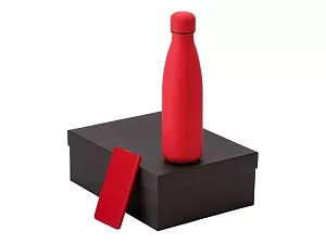 Подарочный набор COLOR IT с термобутылкой и повербанком