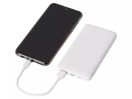 Портативное зарядное устройство Reserve Pro,10 000 mah
