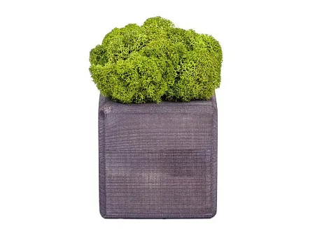 Композиция Мох в интерьере