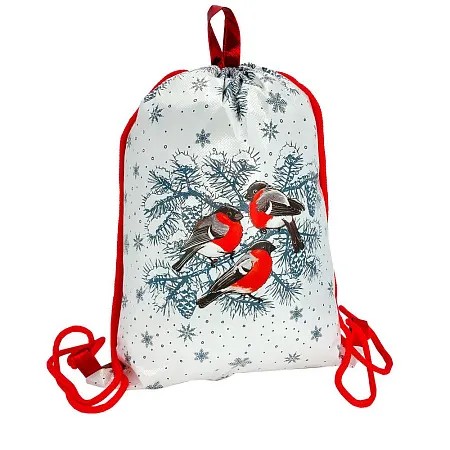 РЮКЗАК ЗА ОКОШКОМ СНЕГИРИ синий (текстиль) до 1,6 кг (2)