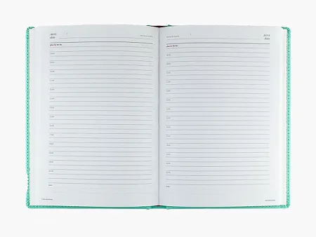 Ежедневник недатированный А5 Velvet