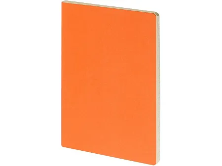 Бизнес-тетрадь А4 Pragmatic