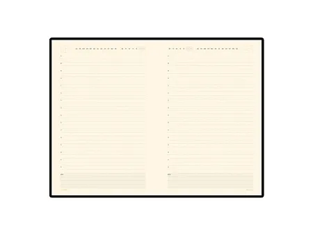 Ежедневник недатированный А5 Monaco