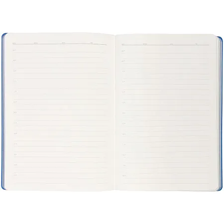 Ежедневник Flexpen Black, недатированный, черный с синим