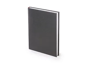 Ежедневник датированный А5 Ideal New на 2026 год