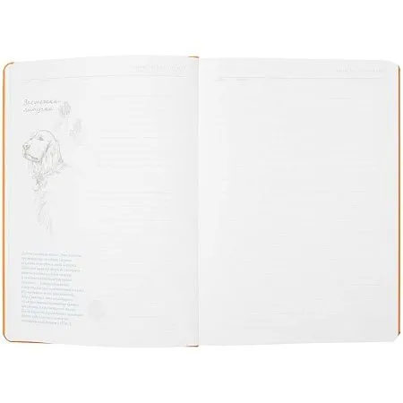 Ежедневник «История изобретений», недатированный, белый