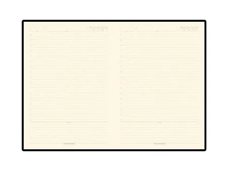 Ежедневник недатированный В5 Leggenda