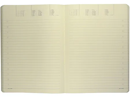 Ежедневник недатированный B5 Megapolis Flex