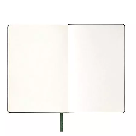 Ежедневник Portobello Trend, Spark, недатированный, зеленый (без упаковки, без стикера)
