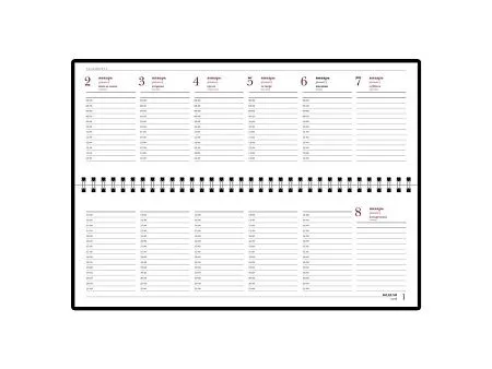 Планинг датированный Sidney Nebraska на 2025 год