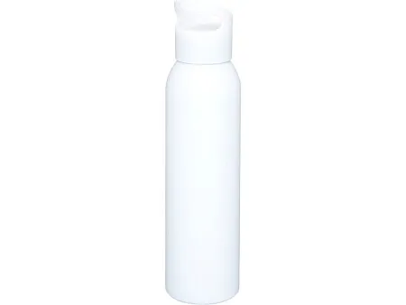 Бутылка спортивная Sky