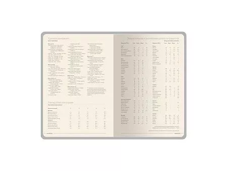 Ежедневник недатированный А5 Megapolis Nappa Flex