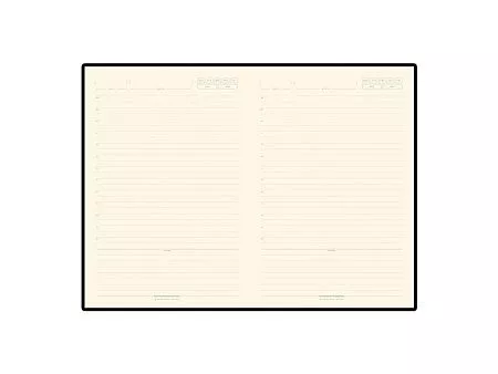 Ежедневник недатированный А5 Chelsea