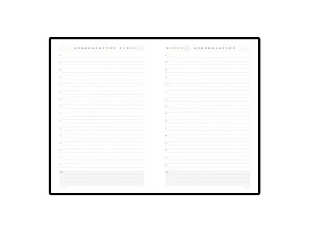 Ежедневник недатированный А5 Mercury