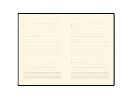 Ежедневник недатированный А5 Zenith