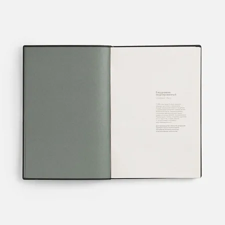 Ежедневник-органайзер Twill, недатированный, черный