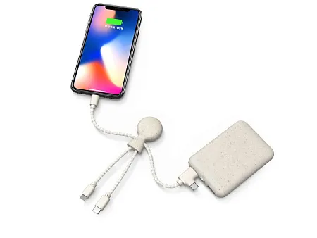 Портативное зарядное устройство BioPack c кабелем Mr. Bio, 5000 mAh