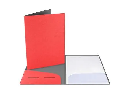 Папка для документов Favor