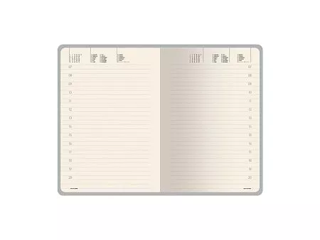 Ежедневник недатированный А5 Loft