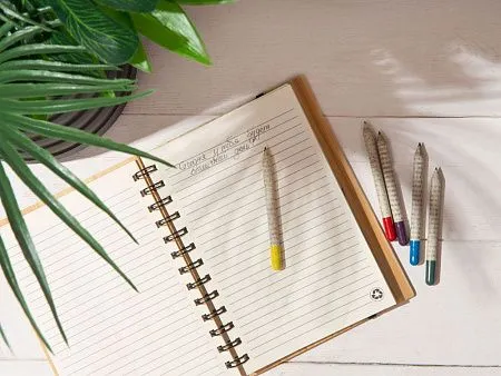 Растущий карандаш mini с семенами акации серебристой